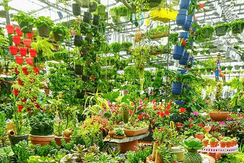 Широкий спектр