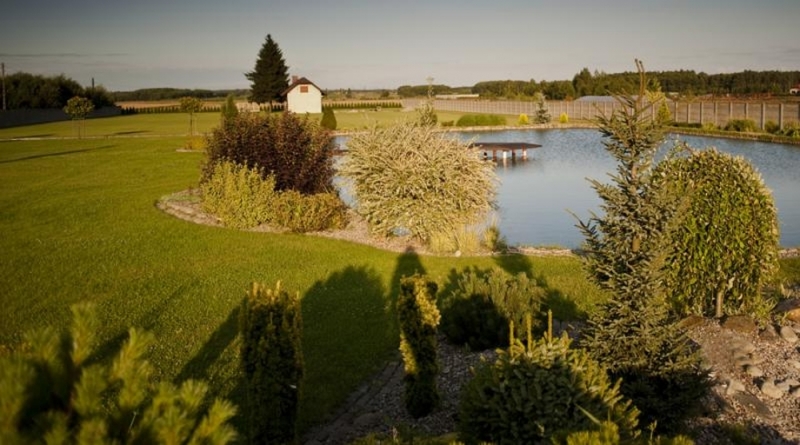 Розсадник рослин