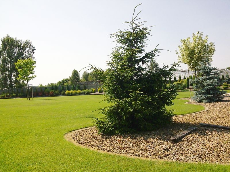 Садовий центр